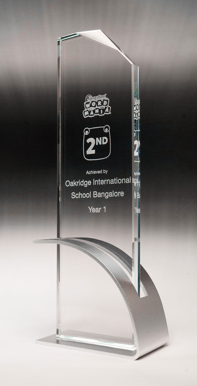 Modern Fusion Silver Blade Glass Award