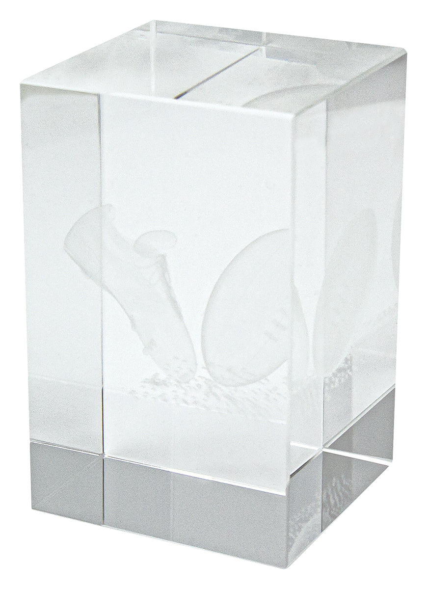 Rugby Hologram Crystal Block Award