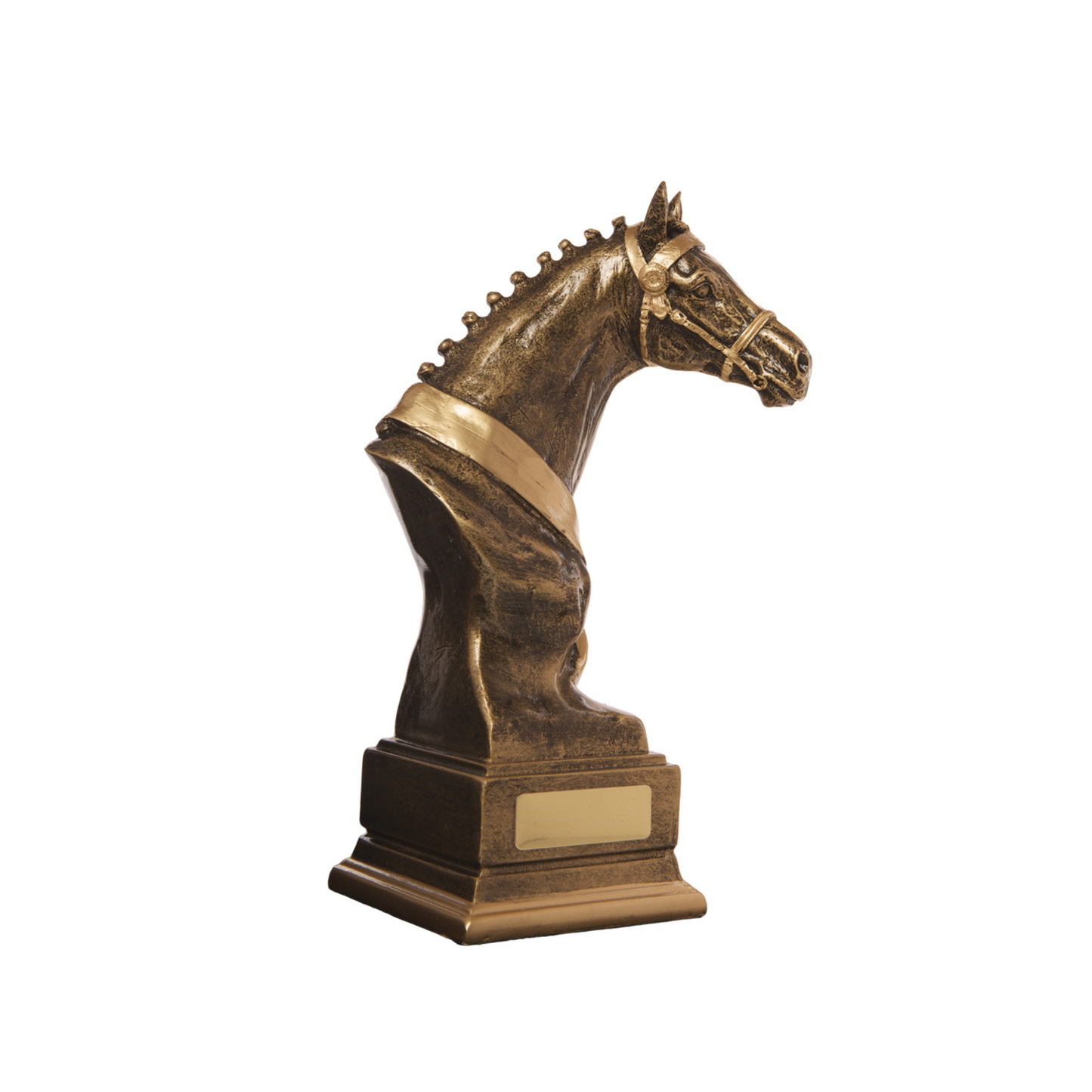 Horsehead Trophy