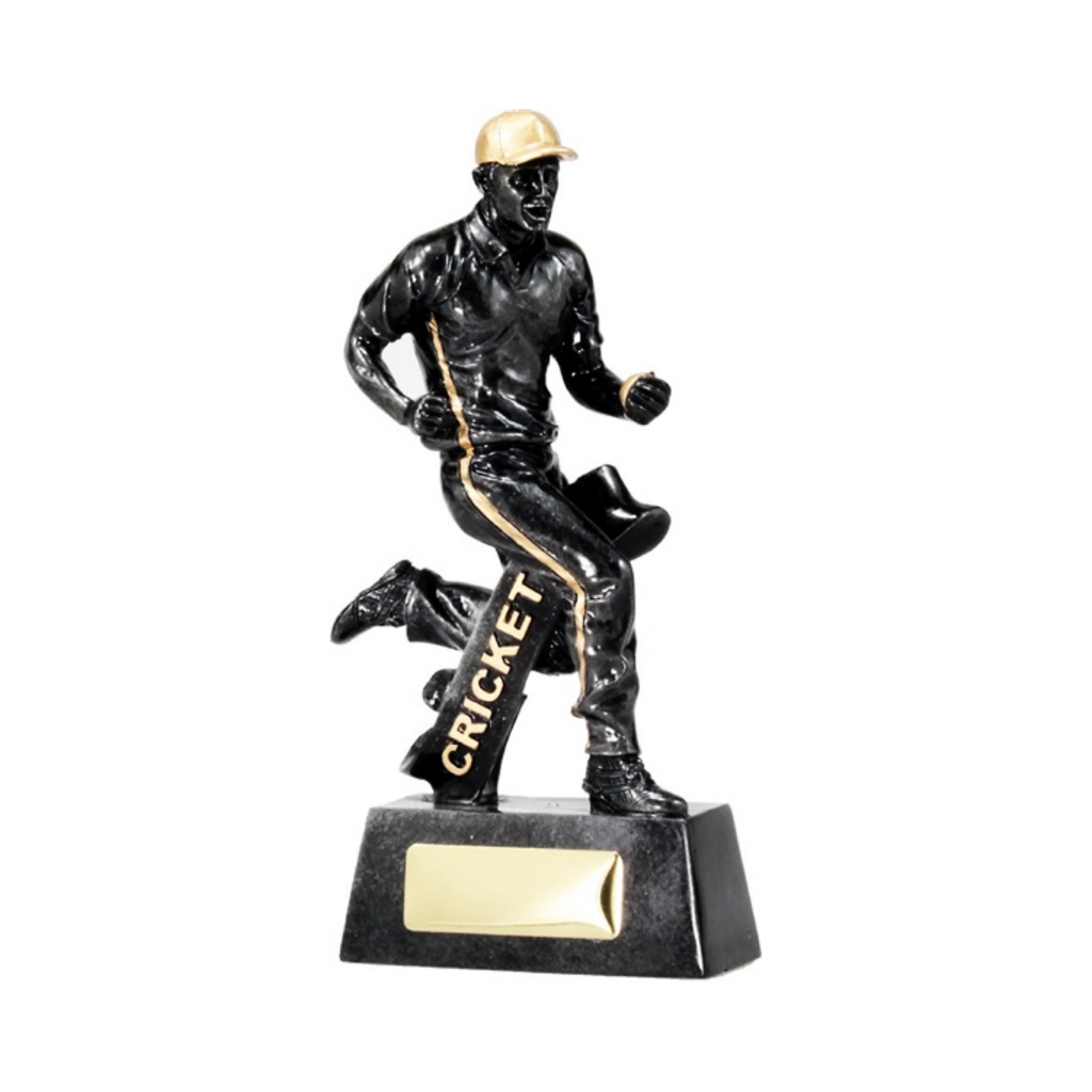 Cricket Fielder Trophy