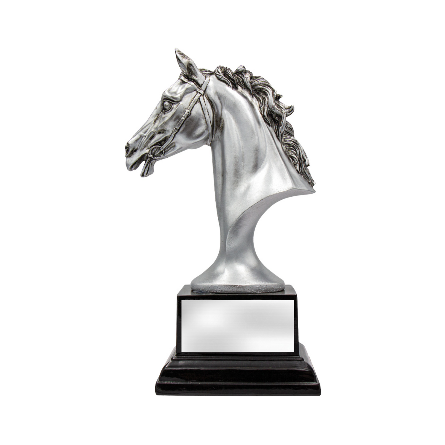 Equestrian Sports