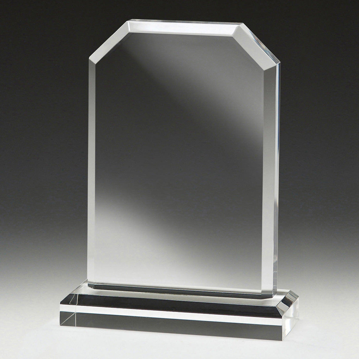 Acrylic Archway Award