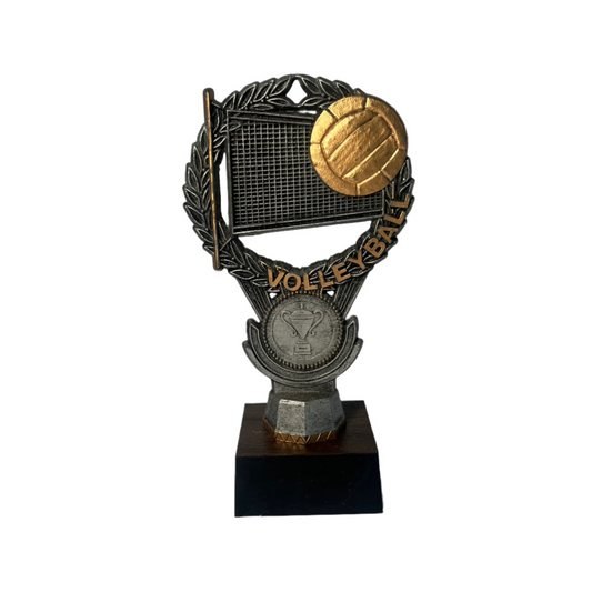 Mini Volleyball Triumph Award