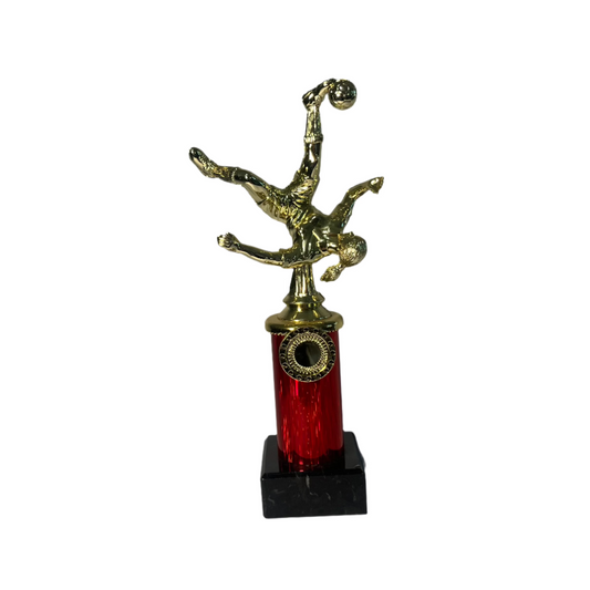 Ultimate Female Soccer Striker Glory Award