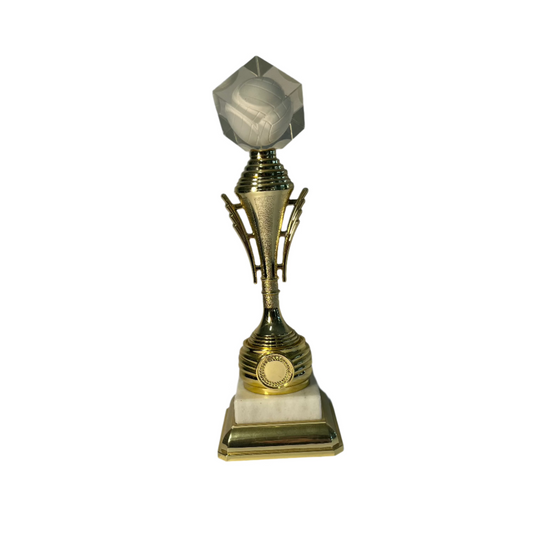 Netball Diamond Excellence Trophy