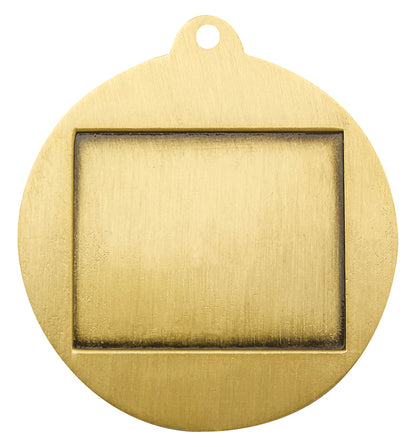 Volleyball Econo Medal Gold