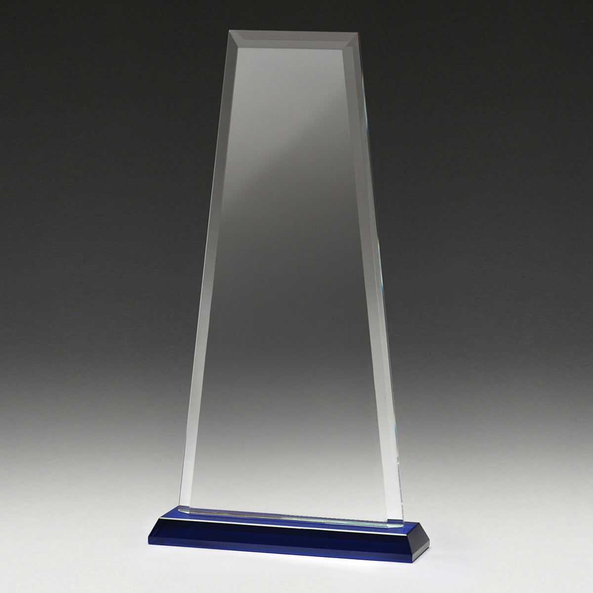 Blue Guardian Glass Award