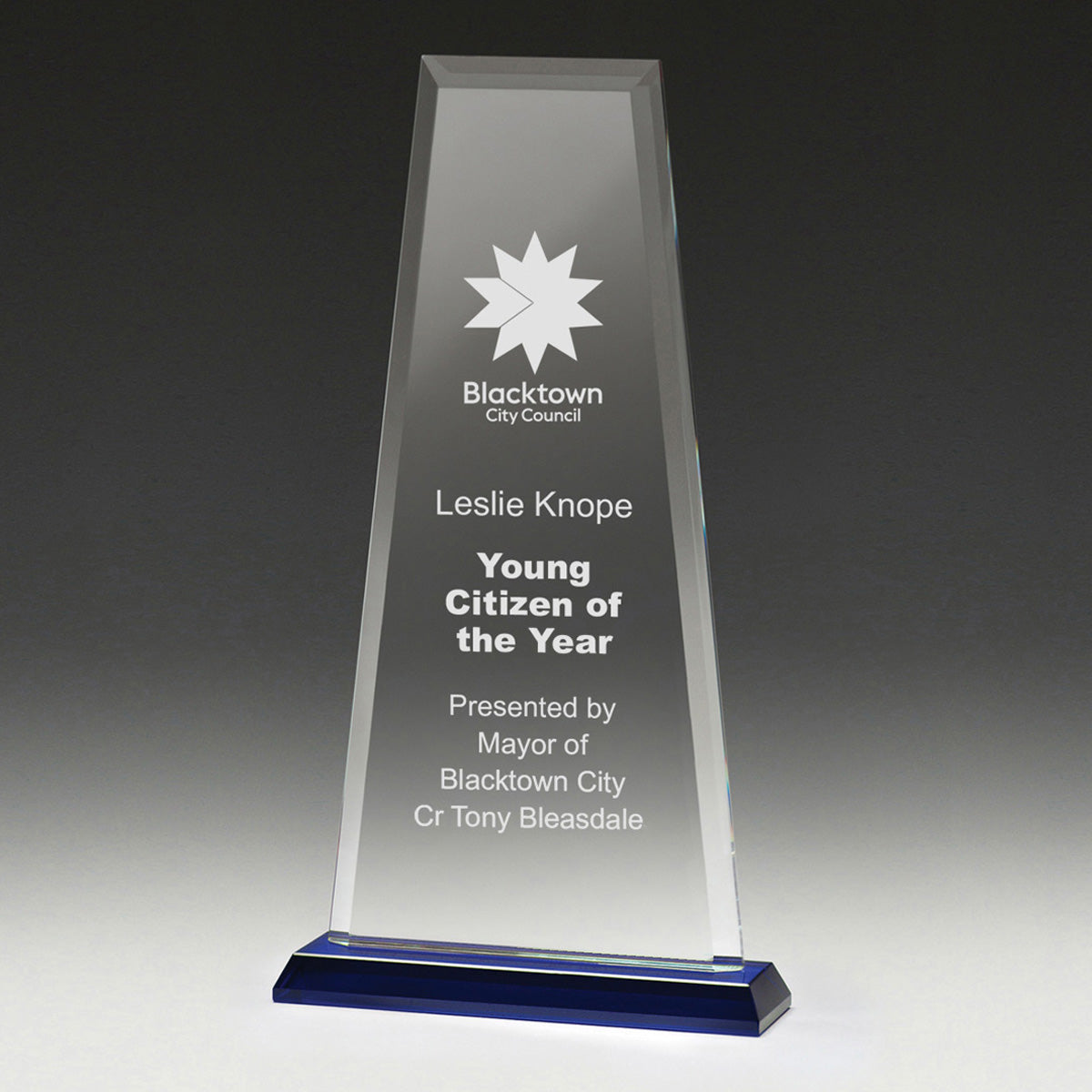 Blue Guardian Glass Award