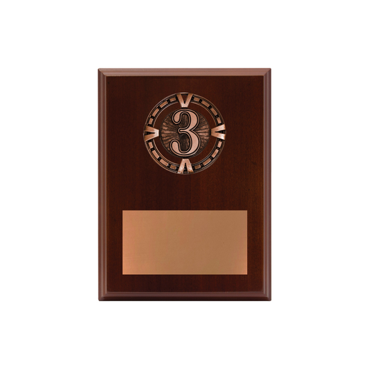 3rd Place Varsity Plaque Bronze