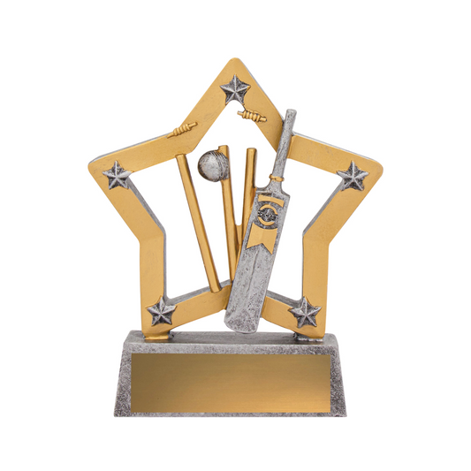 Cricket Mini Star Award