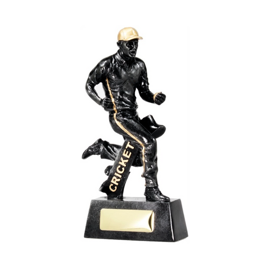 Cricket Fielder Trophy