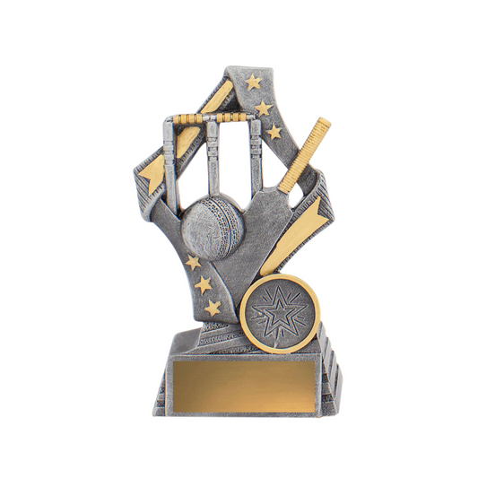 Flag Cricket Trophy