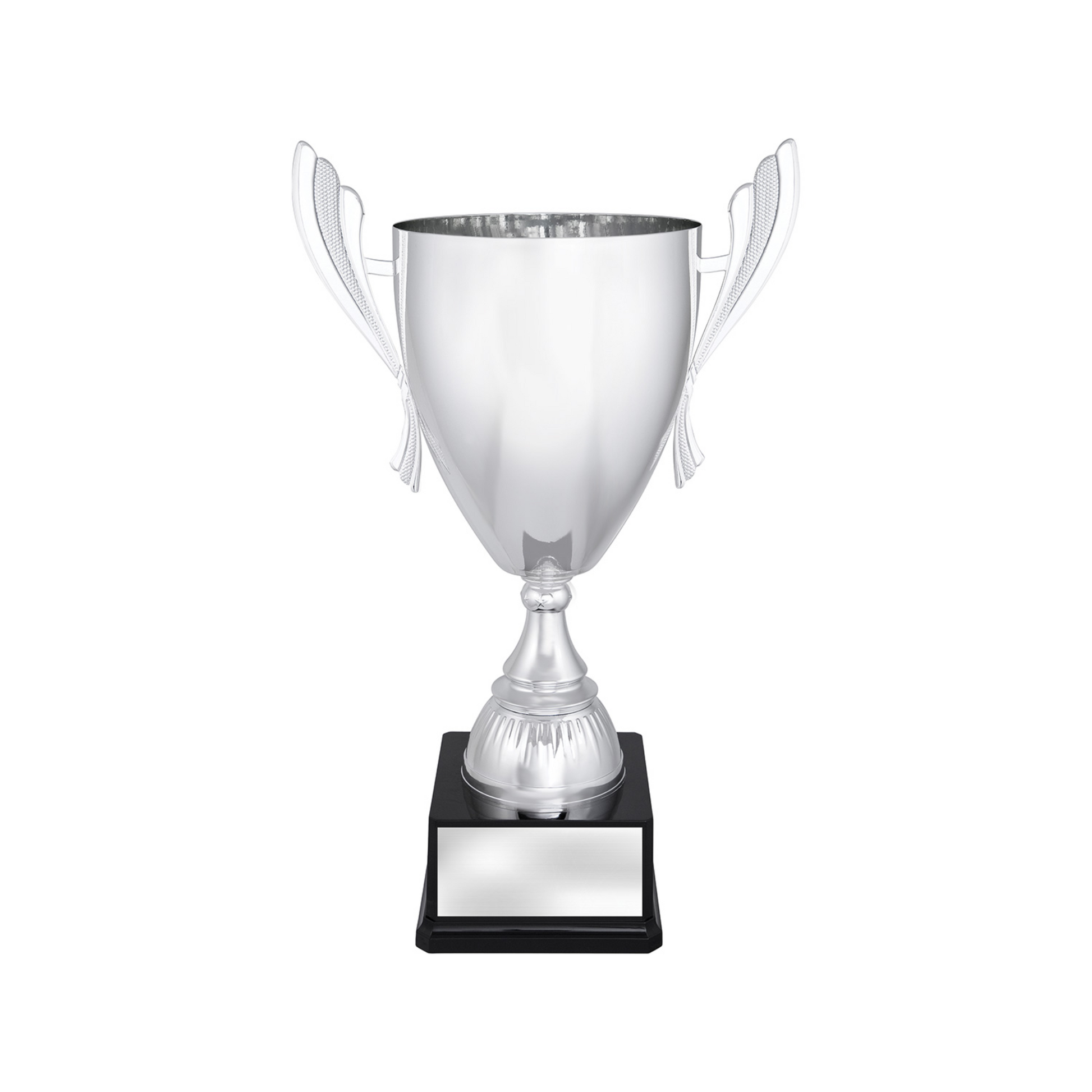Ironside Silver Metal Cup