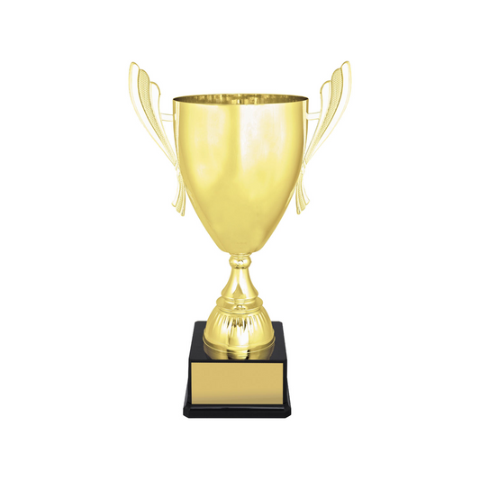 Ironside Gold Metal Cup